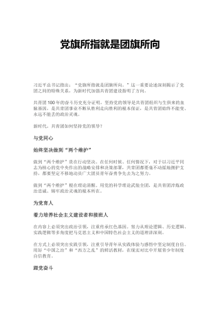 党旗所指就是团旗所向PPT红色大气坚持党的领导建团100周年共青团团课课件