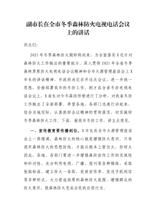 副市长在全市冬季森林防火电视电话会议上的讲话