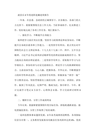 副县长X年度述职述廉述效报告