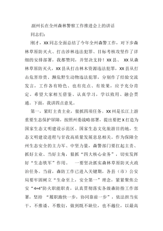 副州长在全州森林警察工作推进会上的讲话