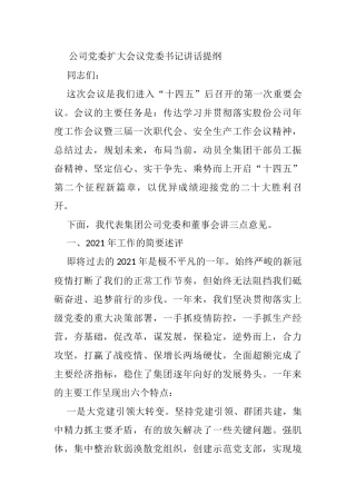 公司党委扩大会议党委书记讲话提纲
