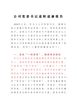 公司党委书记述职述廉报告