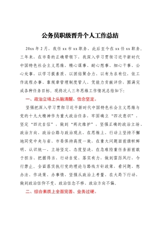 公务员职级晋升个人工作总结