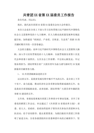 共青团XX省第XX届委员工作报告