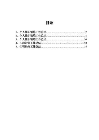 挂职锻炼工作总结汇编5篇