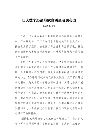 壮大数字经济形成高质量发展合力