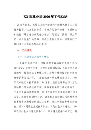 市林业局2020年工作总结