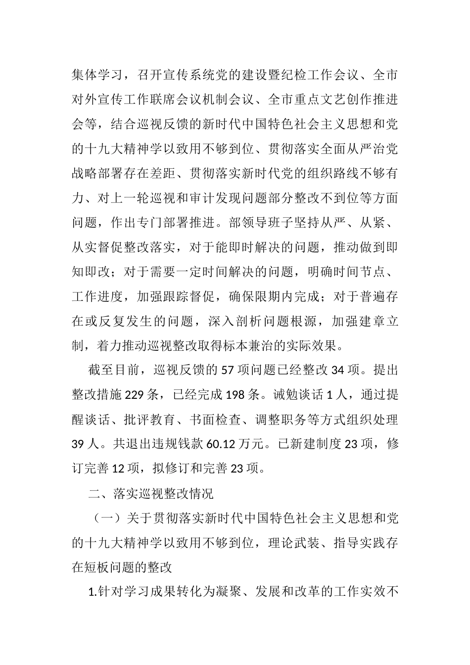 关于巡视整改工作进展情况报告_第3页