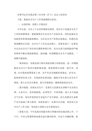 市委书记在安委会第三次全体（扩大）会议上的讲话
