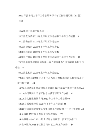 2022年县各局上半年工作总结和下半年工作计划汇编（17篇）