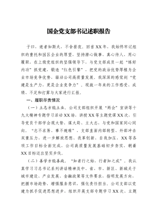 国企党支部书记述职报告1