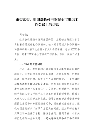 孙玉军：在全市组织工作会议上的讲话_转换