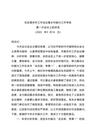 2022年在区委农村工作会议暨乡村振兴工作专班第一次会议上的讲话