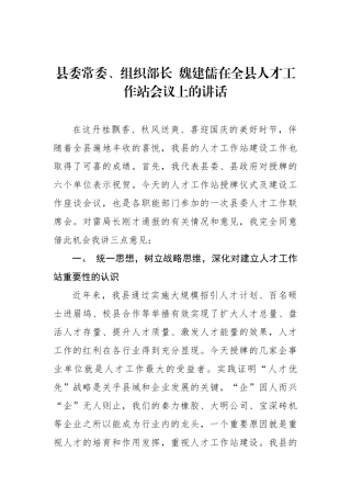魏建儒：在全县人才工作站会议上的讲话_转换