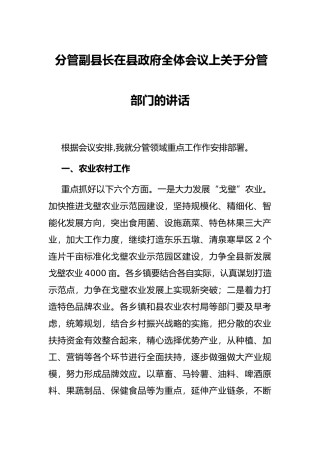 分管副县长在县政府全体会议上关于分管部门的讲话