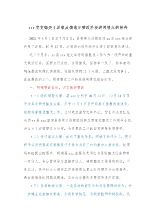 xxx党支部关于巡察反馈意见整改阶段进展情况的报告