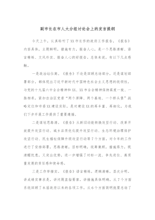 副市长在市人大分组讨论会上的发言提纲