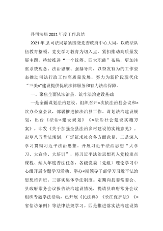 县司法局2021年度工作总结