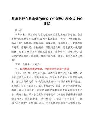 县委书记在县委党的建设工作领导小组会议上的讲话