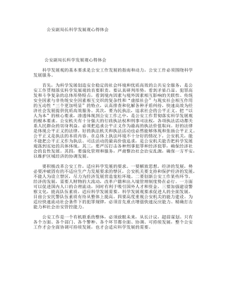 公安副局长科学发展观心得体会