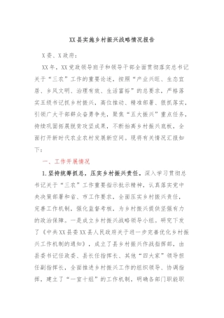 XX县实施乡村振兴战略情况报告