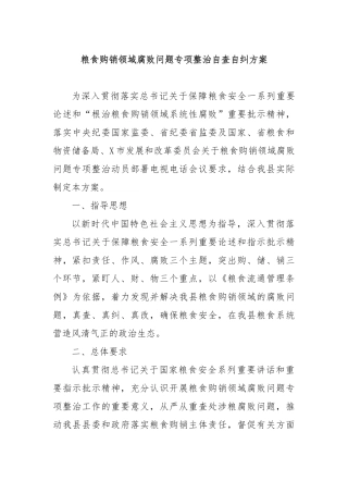 粮食购销领域腐败问题专项整治自查自纠方案