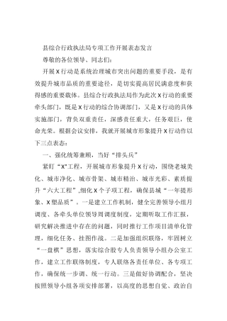 县综合行政执法局专项工作开展表态发言