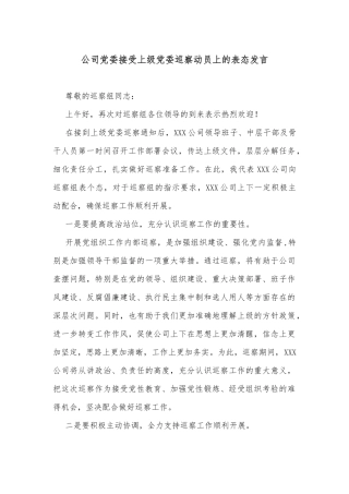 公司党委接受上级党委巡察动员上的表态发言