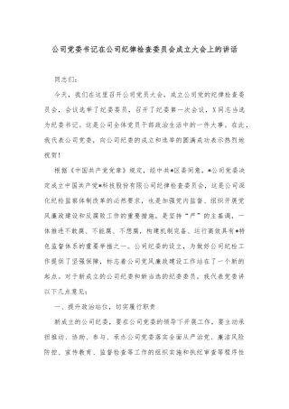 公司党委书记在公司纪律检查委员会成立大会上的讲话