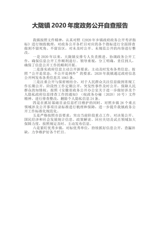 乡镇2020年度政务公开自查报告