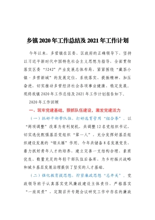 乡镇2020年工作总结及2021年工作要点