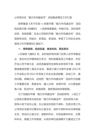 公司党总支“能力作风建设年”活动推进情况工作汇报