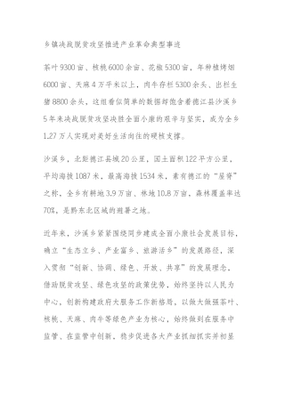 乡镇决战脱贫攻坚推进产业革命典型事迹