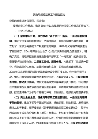 民政局纪检监察工作报告范文报巡察组工作汇报总结