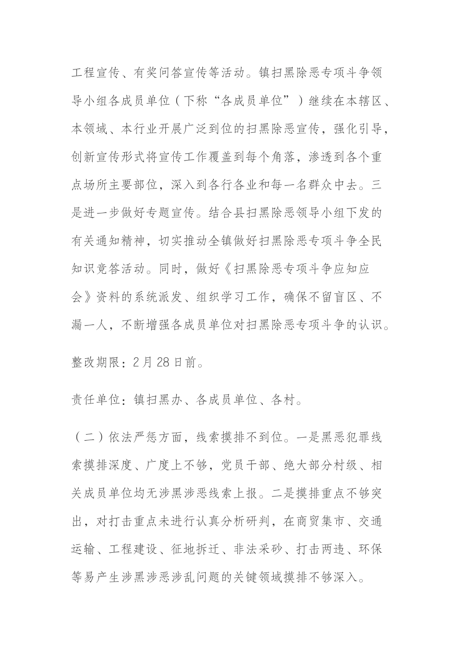 乡镇扫黑除恶专项督导问题整改工作方案_第3页