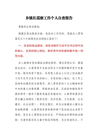 乡镇长巡察工作个人自查报告