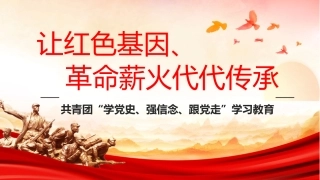 共青团团课：让红色基因革命薪火代代传承