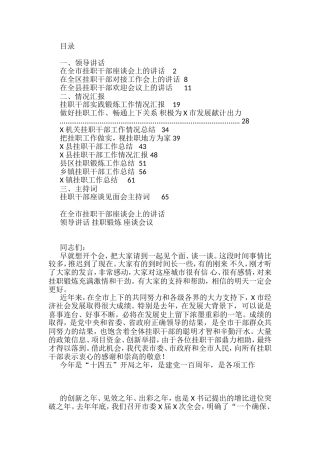 挂职干部会议讲话、工作总结和心得体会汇编（13篇）