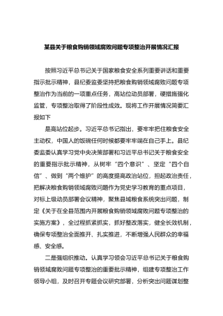 某县关于粮食购销领域腐败问题专项整治开展情况汇报