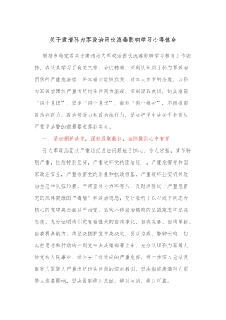 关于肃清孙力军政治团伙流毒影响学习心得体会