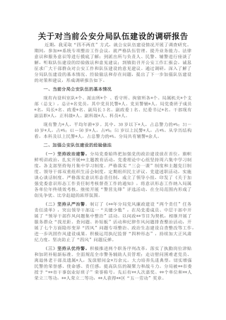 关于对当前公安分局队伍建设的调研报告