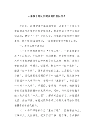 某镇干部队伍建设调研情况报告