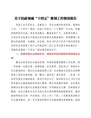 关于民政领域“十四五”规划工作情况报告