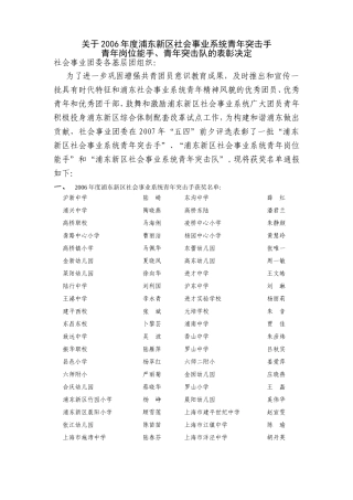 关于浦东新区社会事业系统青年突击手