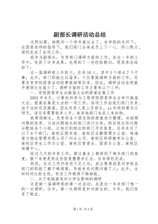 2024年副部长调研活动总结