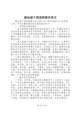 2024年副处级干部述职报告范文