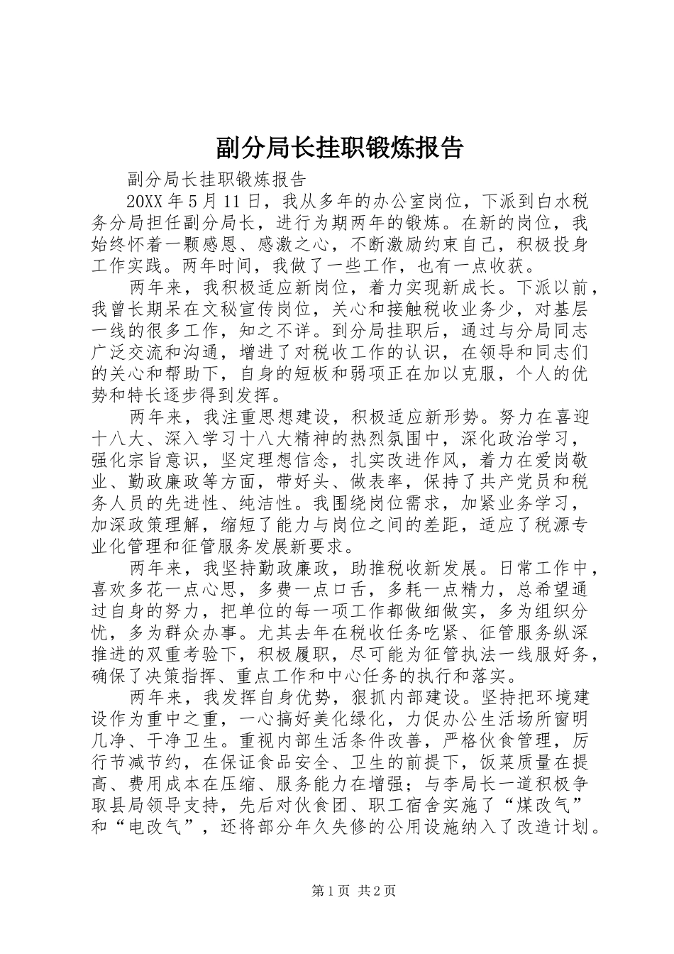 2024年副分局长挂职锻炼报告_第1页