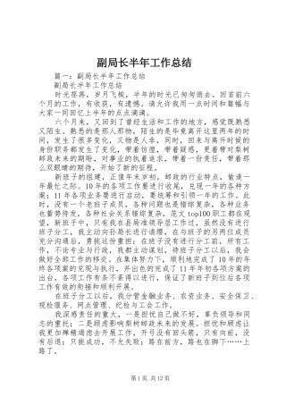 2024年副局长半年工作总结