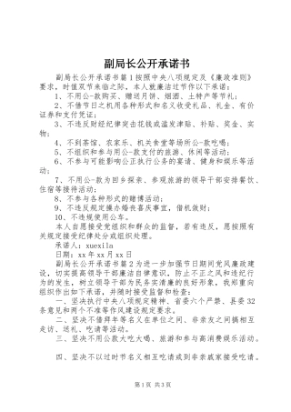 2024年副局长公开承诺书