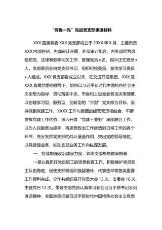 “两优一先”先进党支部事迹材料